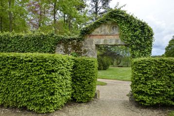 haie de aulme,  Verger, Parc, Musée national de Port Royal des Champs, 78, Magny les Hameaux, Yvelines