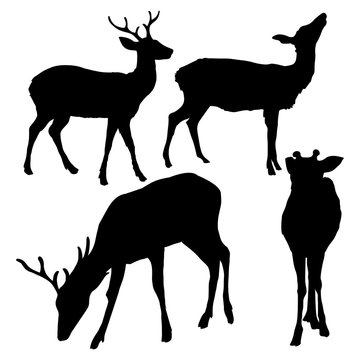 Vector Set of Dappled Deer Silhouetttes