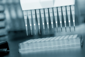 Multi pipette in genetic laboratory