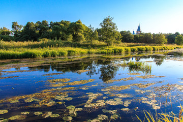 Fototapeta premium Река в июле