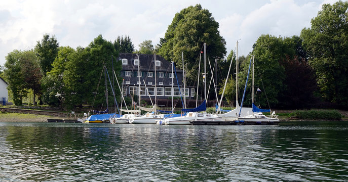 sailboats in the harbour