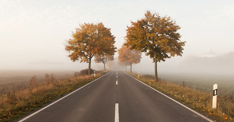 Fototapeta premium Herbstliche Landschaft