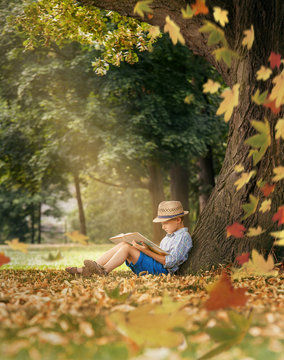 Boy readind under the big linden tree
