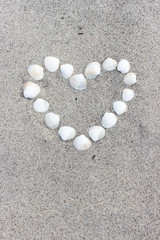 heart / Heart made of shells on the sandy beach 