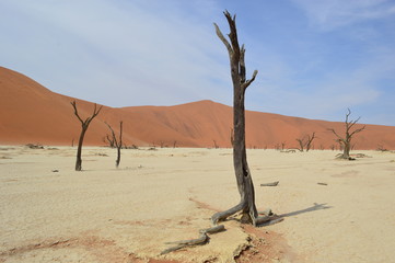 Sossusvlei