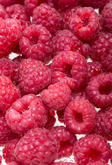A beautiful selection of freshly picked ripe red raspberries.