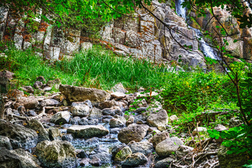 rocks and plants in Triulintas water fall