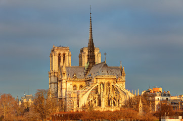 Obraz na płótnie Canvas Notre Dame at sunrise - Paris, France