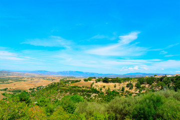 Fototapeta na wymiar green landscape under a blue sky in Sardinia