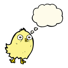 funny cartoon bird with thought bubble