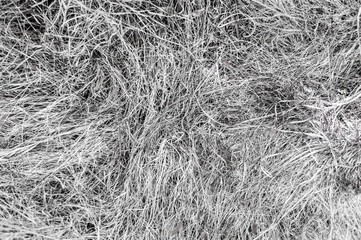 Abstract background of dry grass, line textures.