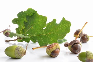 Jesienią... © Pio Si