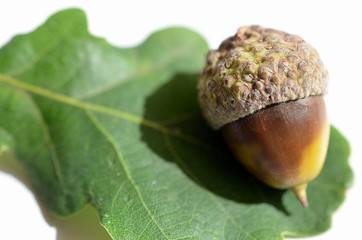 Jesienią... © Pio Si