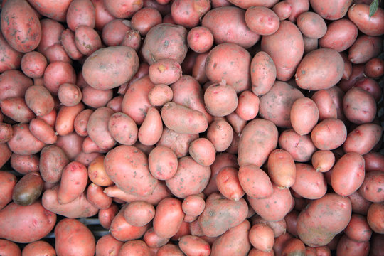 red potatoes background