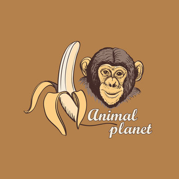 Animal planet Logo Symbol For Your Design © egorka87