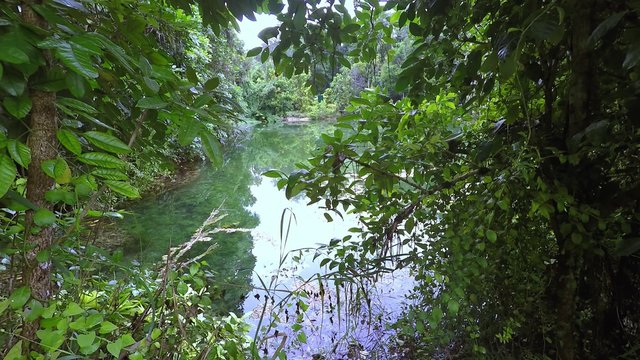 Warm water streams Sa Morakot, Wildlive Sanctuary, Dong Fern, Fern Grove, Khao Pra, Bangkram Krabi, Thailand. Southeast Asia
