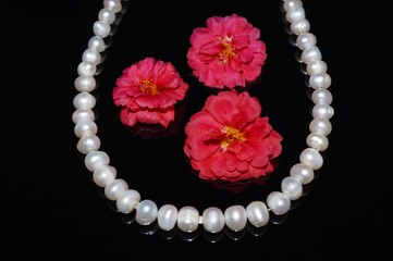 Red flowers and pears on a black background