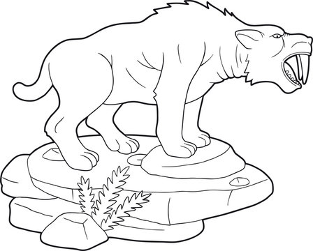 saber-toothed tiger