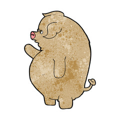 cartoon fat pig
