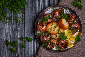 Fried snails with garlic butter and herbs on dark background