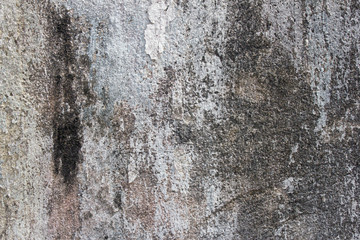 Grunge wall texture background