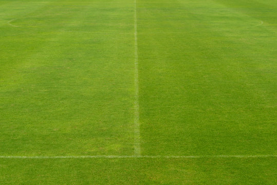beautiful pattern of fresh green grass for football sport, footb