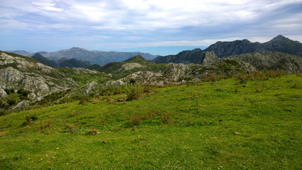Fototapeta na wymiar Landscape in Picos de Europa National Park in Asturias, Spain