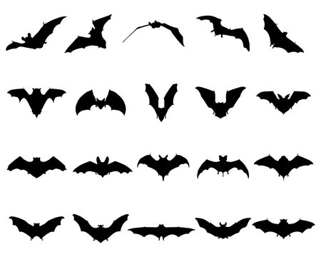 Black silhouettes of different bats, vector