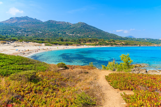 View of beautiful Saleccia beach with crystal clear sea water near Saint Florent, Corsica island, France
