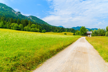 Road along green meadow with typical alpine houses in background in summer landscape of Alps Mountains, Weissensee lake, Austria