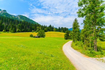 Road in countryside summer landscape of Alps Mountains, Weissensee lake, Austria