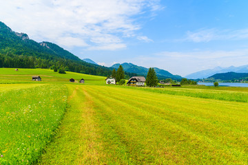 Green field in summer landscape of Alps Mountains, Weissensee lake, Austria