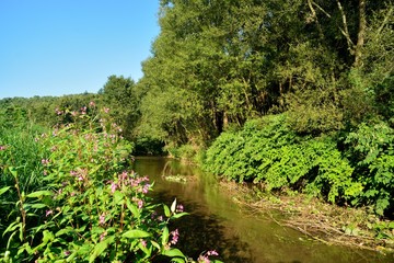 Fototapeta na wymiar River 