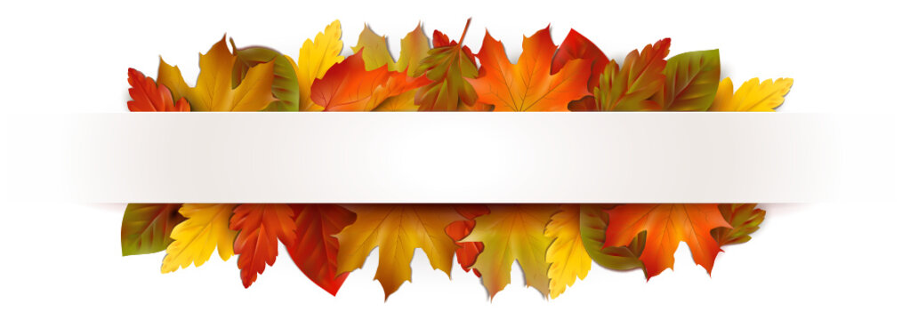 Banner mit Herbstblättern