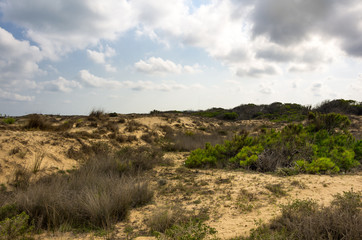 Dunes de La Marina