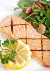 Salmon