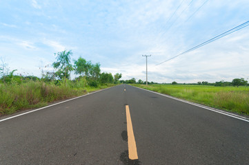 Rural road between farm fields