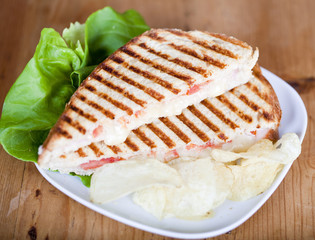 Panini