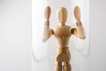 Isolation, Depression, Psychose