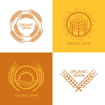 Set of vector linear wheat, fields logo design template.