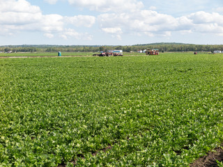 Farmland