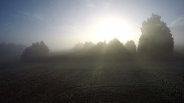 Field at the dawn, timelapse 4K

