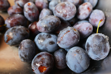 Ripe Plums Background