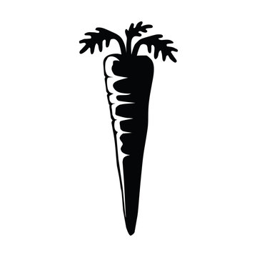 Carrot with leaves flat icon for apps and websites
