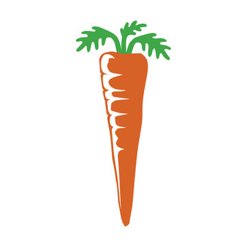 Orange carrot with green leaves flat icon for apps and websites