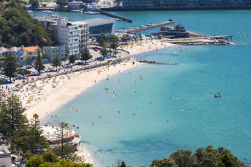 wellington's oriental Bay showing the beach in summer with people swimming and sunbathing © Philip Armitage
