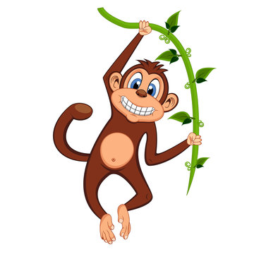 Monkey swinging on vines