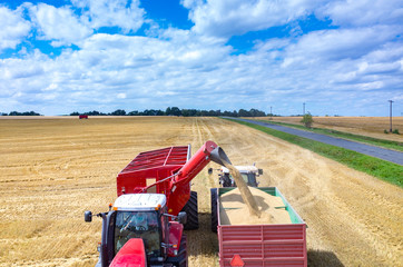 Combines and tractors working on the wheat field