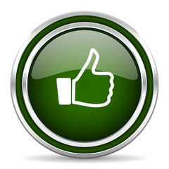 like green glossy web icon