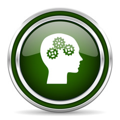 head green glossy web icon